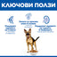Hill's Science Plan Mature Adult Large Breed с пилешко – ключови ползи