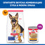 Hill's Science Plan Mature Adult Large Breed с пилешко – комбинация суха и мокра храна