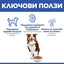 Hill's Science Plan Mature Medium Adult с агнешко и ориз – ключови ползи