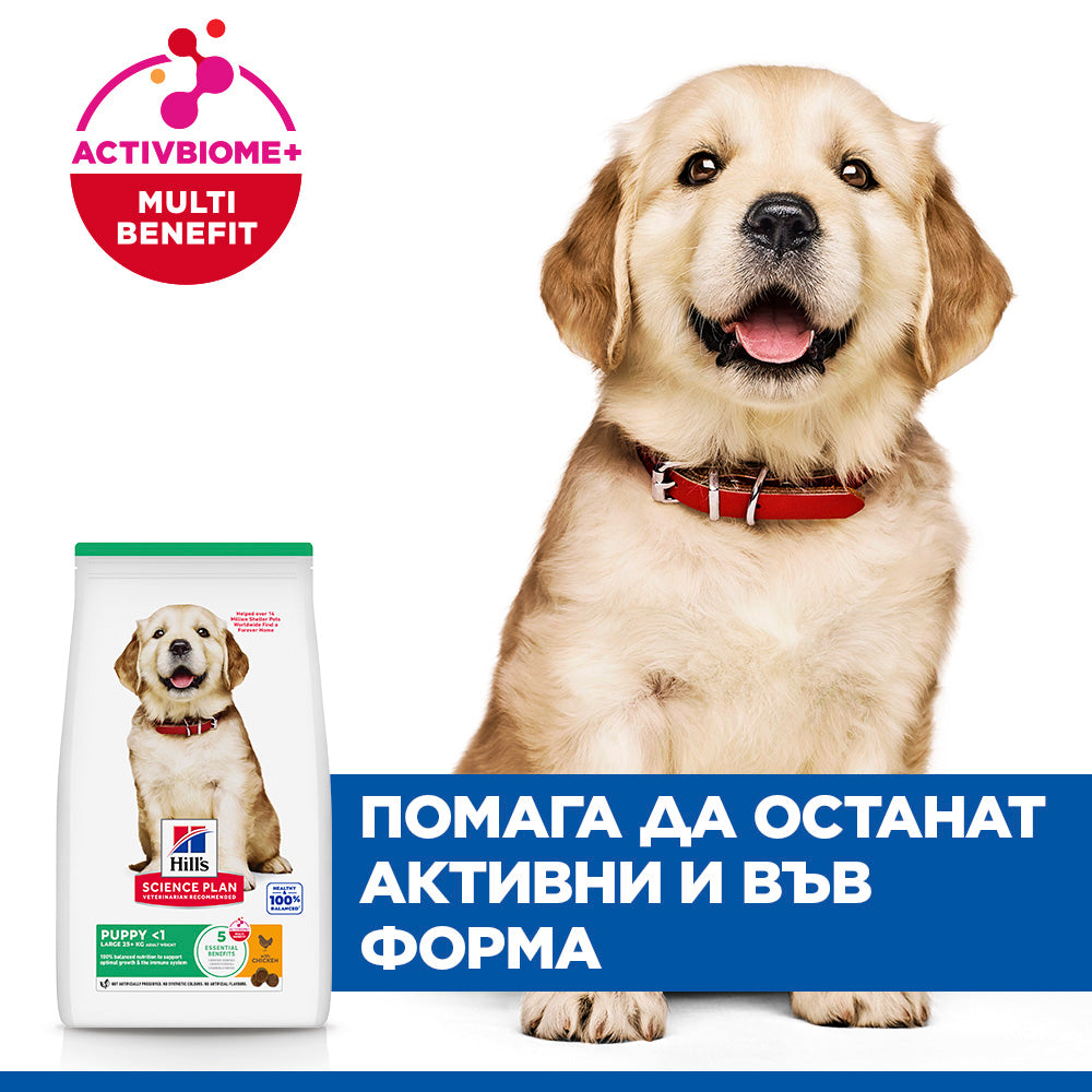 Hill's Science Plan Puppy Large Breed с пилешко – уникални ползи