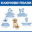 Hill's Science Plan Puppy Large Breed с пилешко – ключови ползи