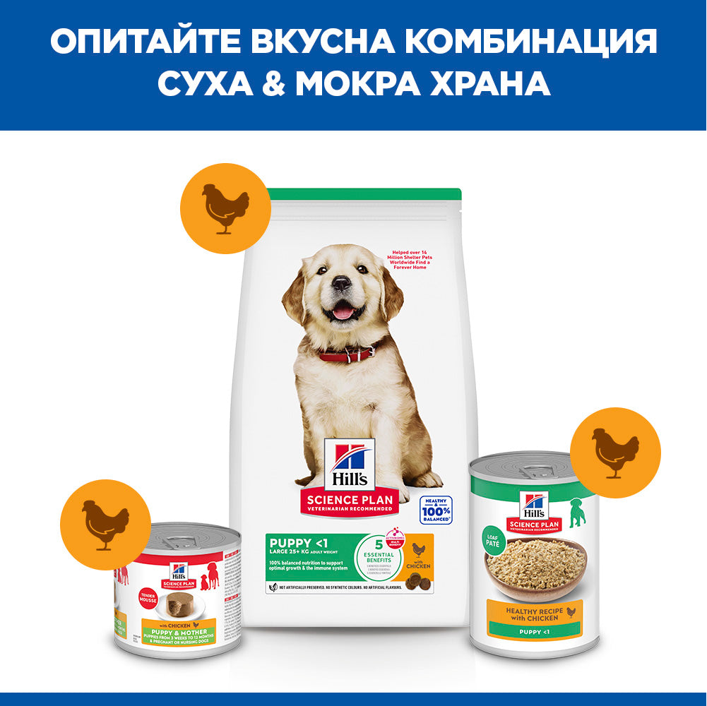 Hill's Science Plan Puppy Large Breed с пилешко – комбинация суха и мокра храна
