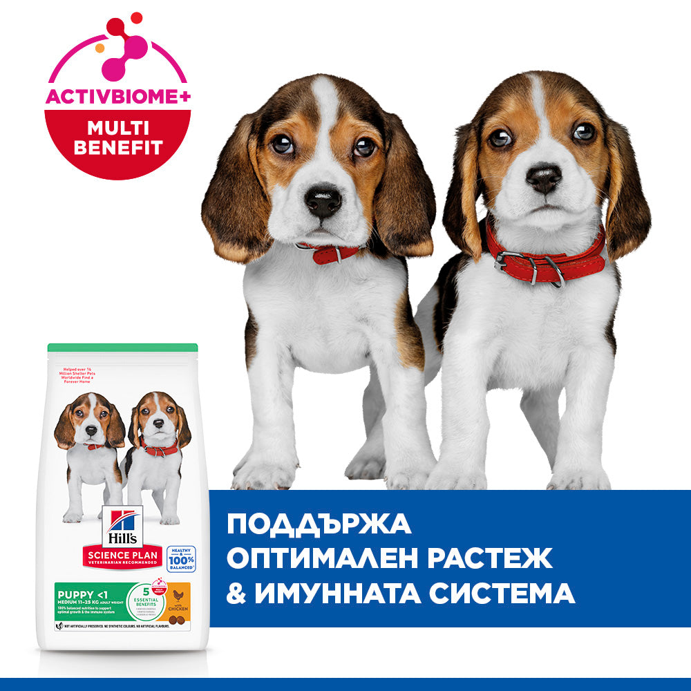 Hill's Science Plan Puppy Medium с пилешко – уникални ползи