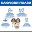 Hill's Science Plan Puppy Medium с пилешко – ключови ползи