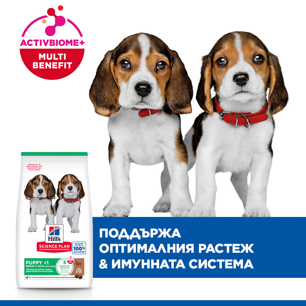 Hill's Science Plan Puppy Medium с агнешко & ориз – уникални ползи