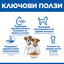 Hill's Science Plan Small&Mini Puppy с пилешко – ключови ползи