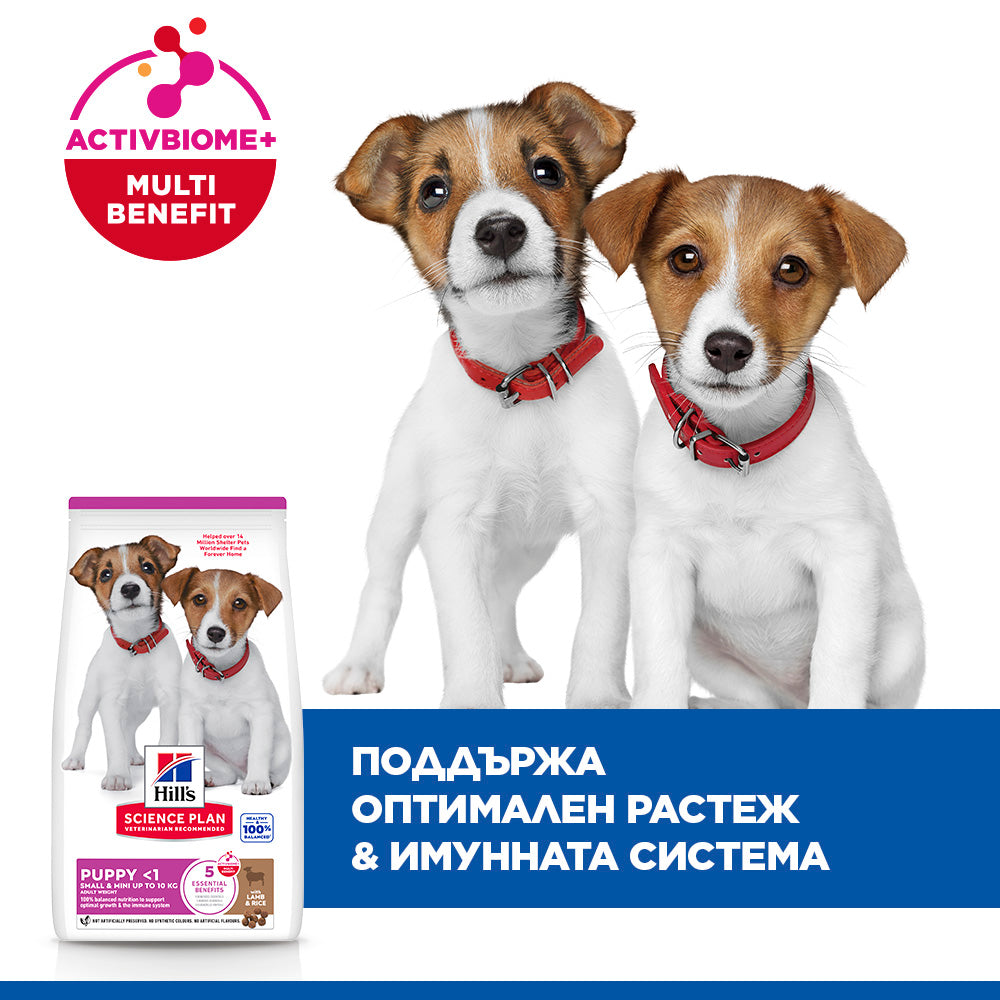 Hill's Science Plan Puppy Small & Mini с агнешко и ориз – уникални ползи