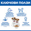 Hill's Science Plan Puppy Small & Mini с агнешко и ориз – ключови ползи