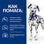 Hill’s Prescription Diet u/d - лечебна суха храна за кучета с уринарни проблеми - снимка 5 от 7