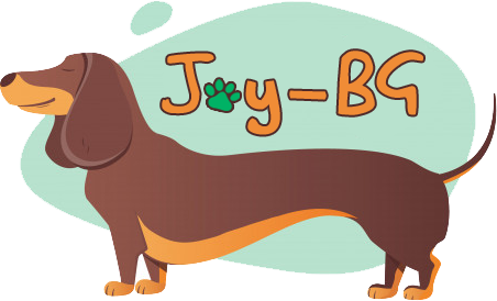 Joy-BG logo