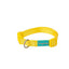 Freedog Basic Nylon – снимка