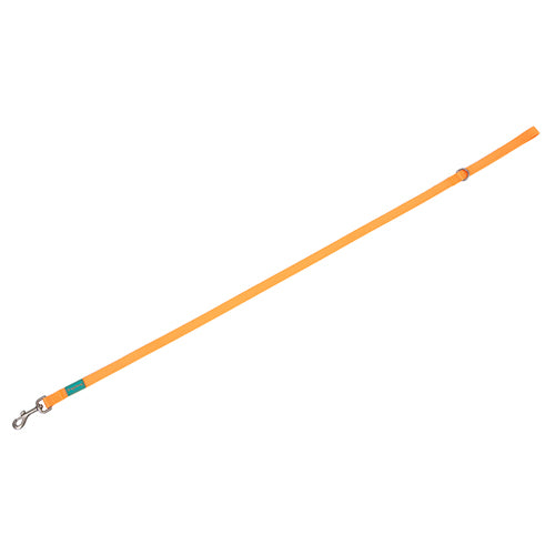 Freedog Basic Nylon – снимка