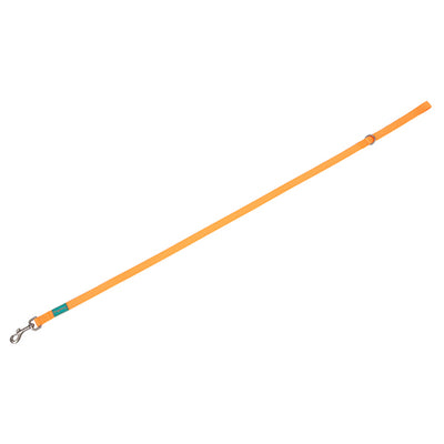 Freedog Basic Nylon – снимка