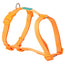 Freedog Basic Nylon – снимка