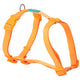 Freedog Basic Nylon – снимка