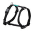 Freedog Basic Nylon – снимка