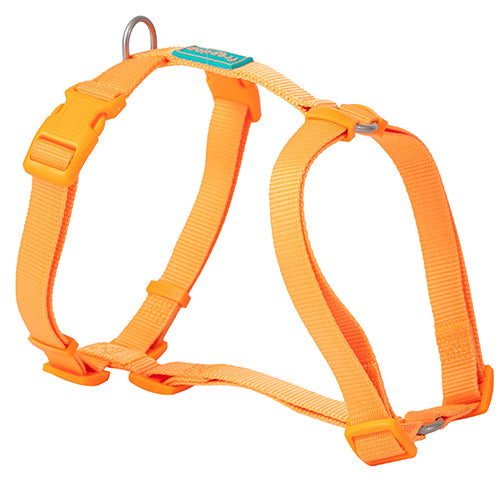Freedog Basic Nylon – снимка