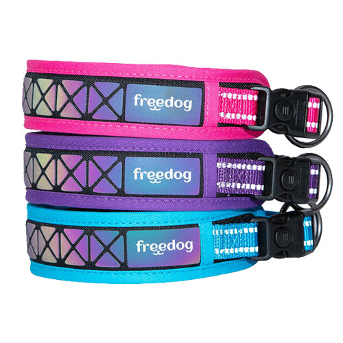 Freedog Boreal – снимка