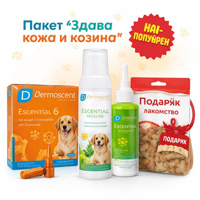 Пакет „Здрава кожа и козина“ - Dermoscent грижа за кучета
